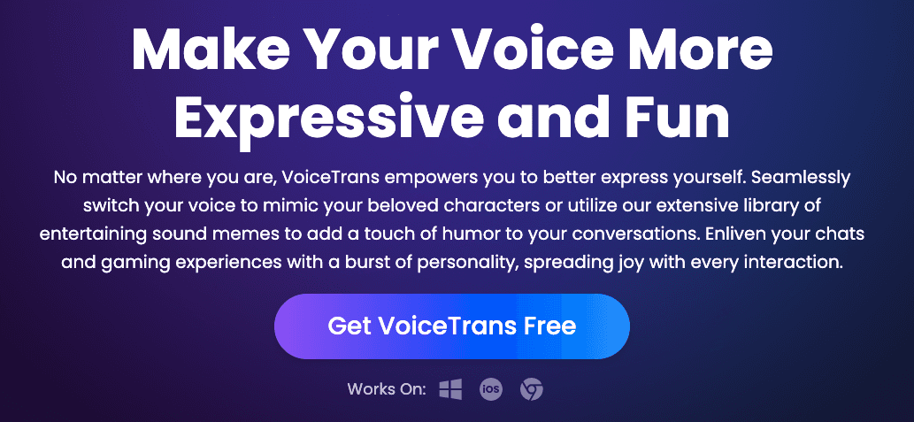 VoiceTrans